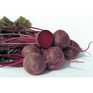 Betterave botte