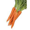 Carotte botte 750g